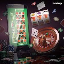 17br bet